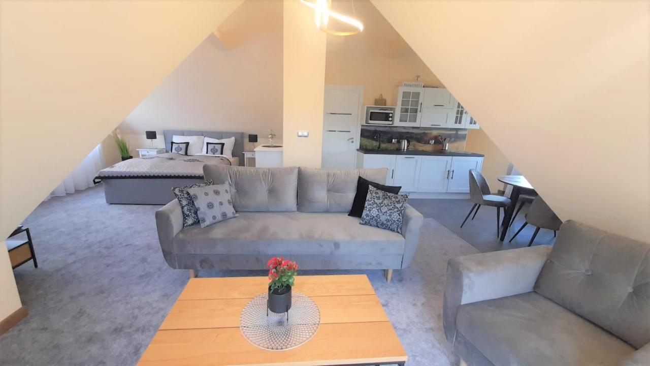 Apartamenty Geiger Witów Esterno foto