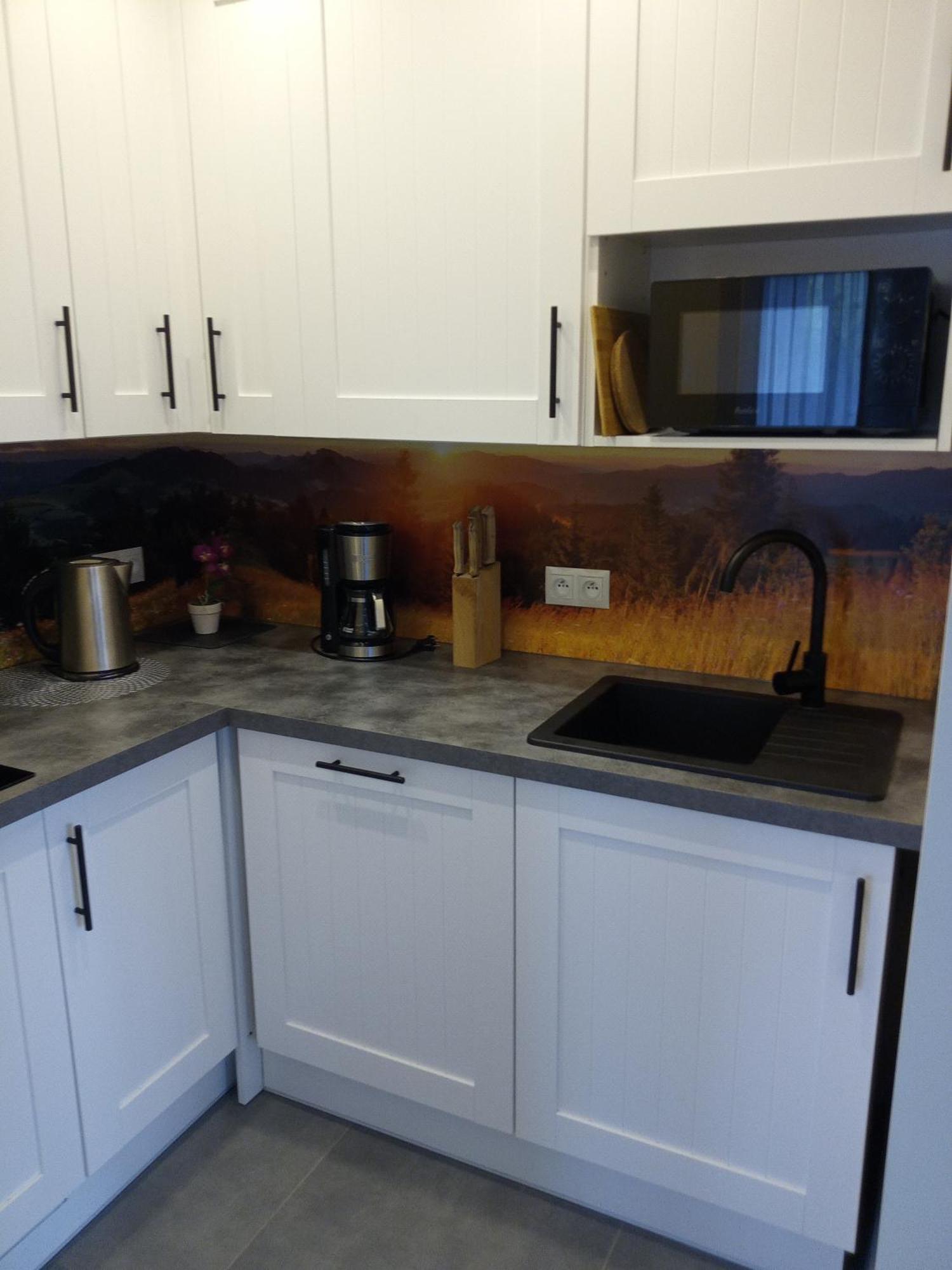 Apartamenty Geiger Witów Esterno foto