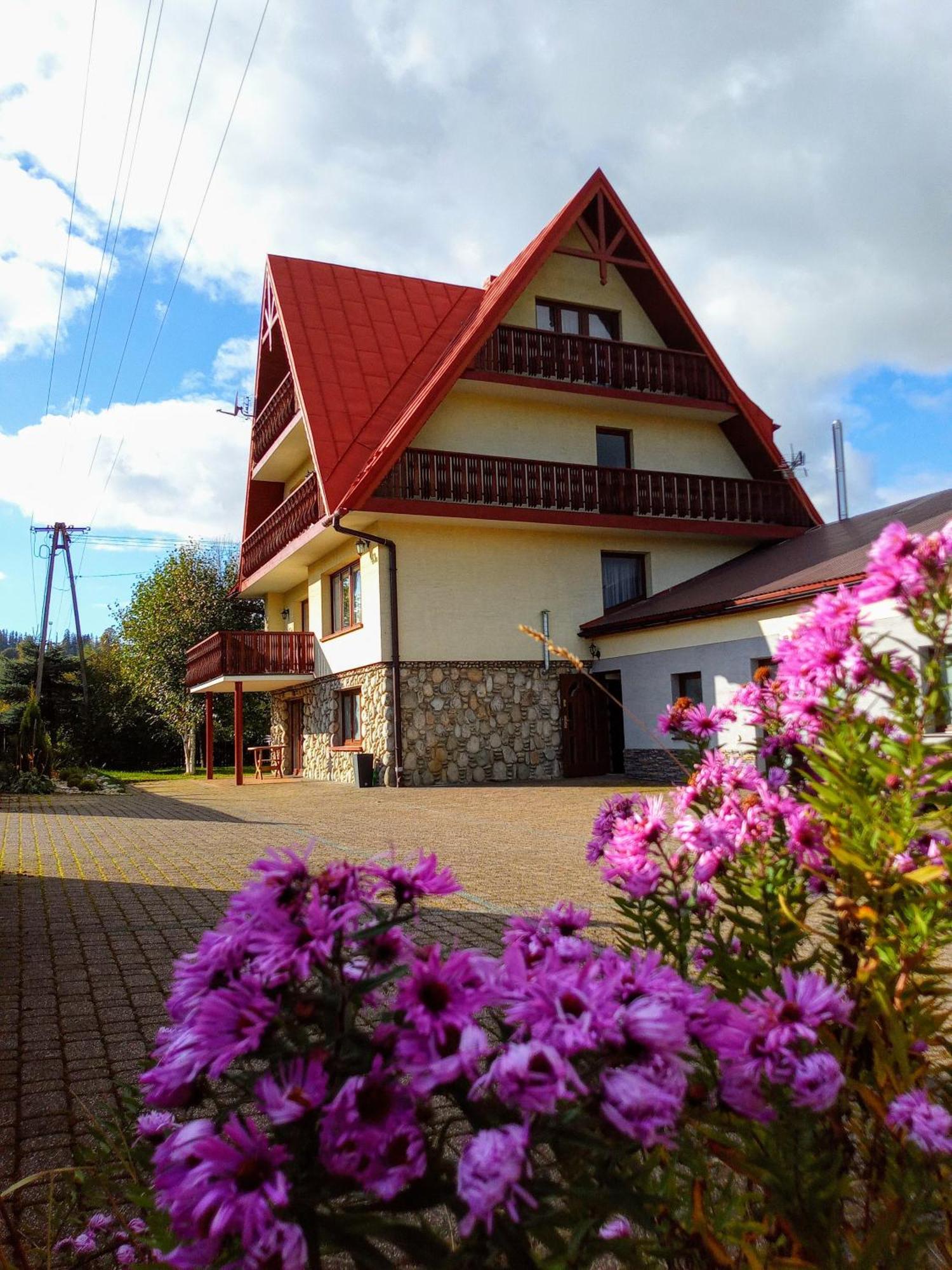 Apartamenty Geiger Witów Esterno foto
