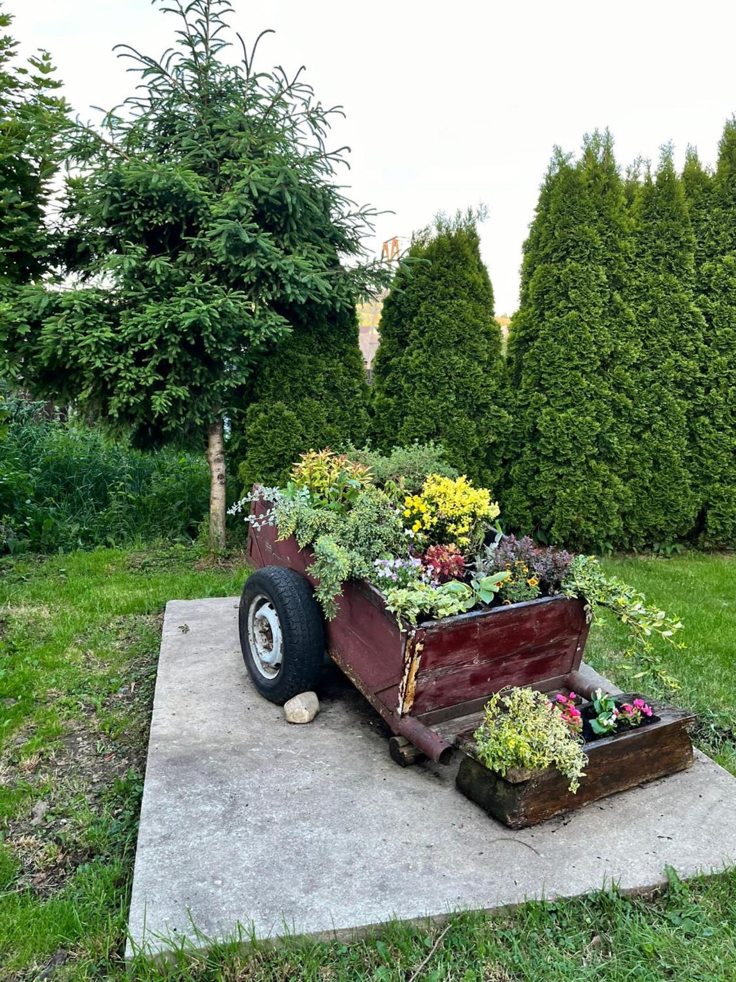 Apartamenty Geiger Witów Esterno foto